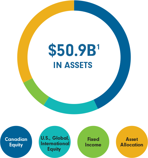 Canadian institutional assets