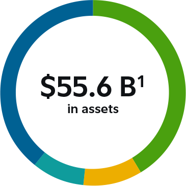 $48.4 billion in Canadian institutional assets