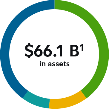 $55.6 billion in Canadian institutional assets